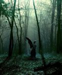 "Nel profondo del bosco"