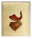 "Rosso su rosso"