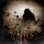 "In questo oscuro luogo"