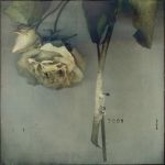 "Vivo nellombra"
