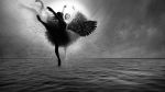 "Un cigno caduto"