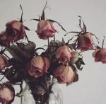 "I fiori morti"