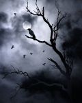 "Il canto dellinverno"