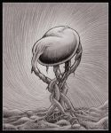 "Desiderio di luna"