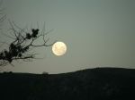 "La notte non ha pi lune"