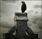 "In morte del giorno"