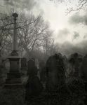 "Morte fra le ombre"