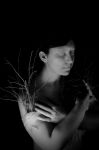 "Il silenzio delle promesse"