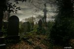 "Cimitero dei sogni"