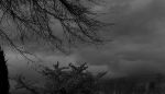 "Al culmine della tempesta"