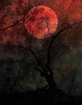 "Sangue alle lune dottobre"