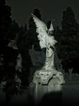 "Al risveglio"