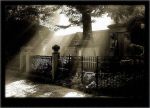 "Il silenzio delle stelle"