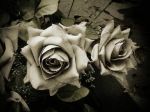 "Posare un fiore"