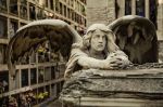 "Un funebre lamento"