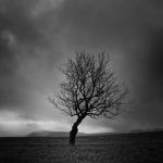 "Di un autunno buio"