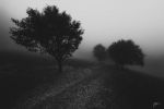 "Nel silenzio dei giorni"
