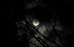 "Come le lune a notte"