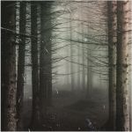 "Altre rive di nostalgia"