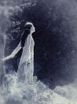 "La notte sar lunga"