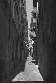 Vicoli
