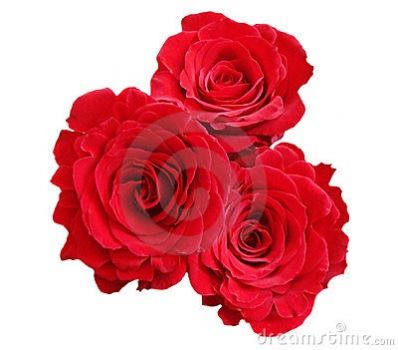 Le tre rose