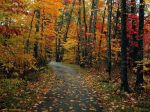 A novembre