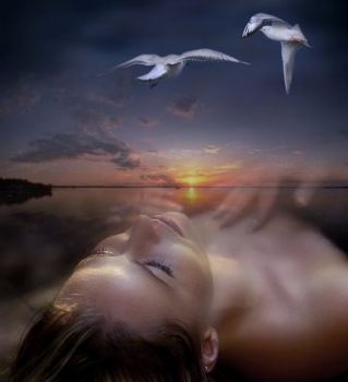 La vita  sogno fino a quando voli