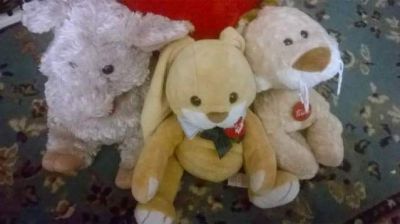 Peluche