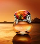 Avrei voluto cambiare la cornice