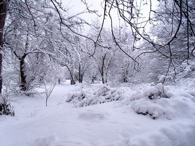 Gennaio  