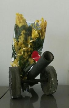 Forse  un mandorlo oppure un pesco