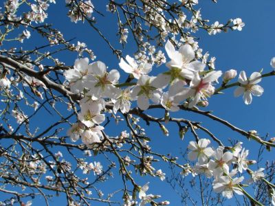 E solo allora sarà Primavera