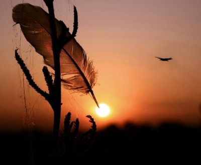Forse un giorno sar Poesia