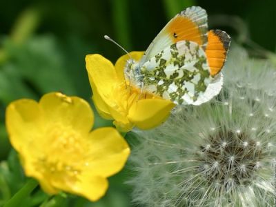 Laria tiepida di marzo