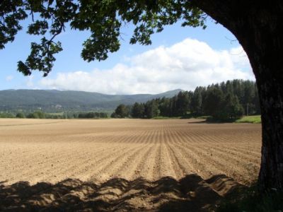 Non toccate la terra che  mia!