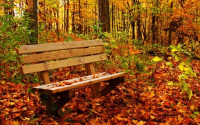 D’autunno