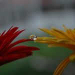 Talvolta ci pare di vivere meno