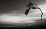 Andr via