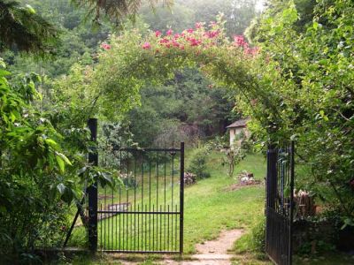 Il profumo dei giardini dinfanzia