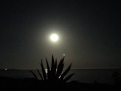 Mi alleno alla notte
