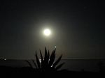 Mi alleno alla notte