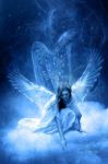 Angeli