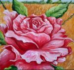Come una rosa