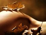 Lettera dautunno