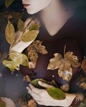 Tuo sbocciarmi nel cuore ...l'autunno
