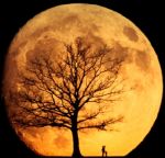 Ventre di Luna