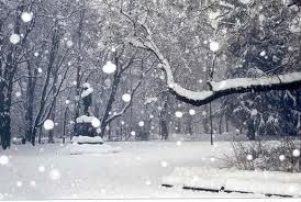 La Neve