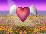 Cuore felice