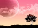 Luna smunta